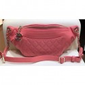 Replica Luxury Chanel Waist Bag A57832 Dark Pink AQ01323