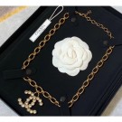 Replica Chanel Necklace 37 2020 AQ02659