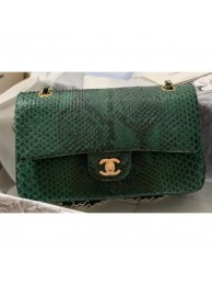 Best 1:1 Chanel Python Classic Flap Medium Bag A1112 44 AQ01042